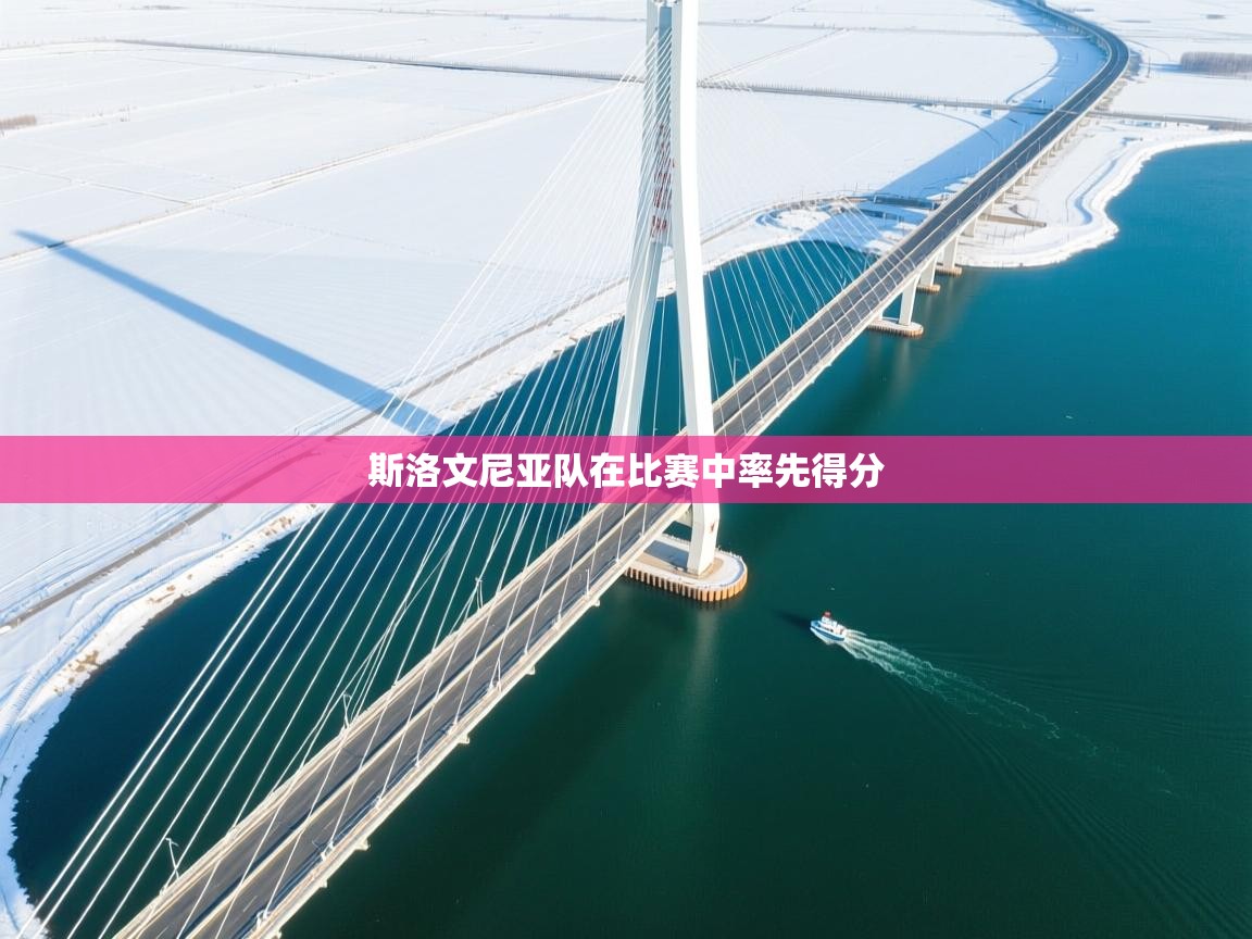 斯洛文尼亚队在比赛中率先得分 第1张