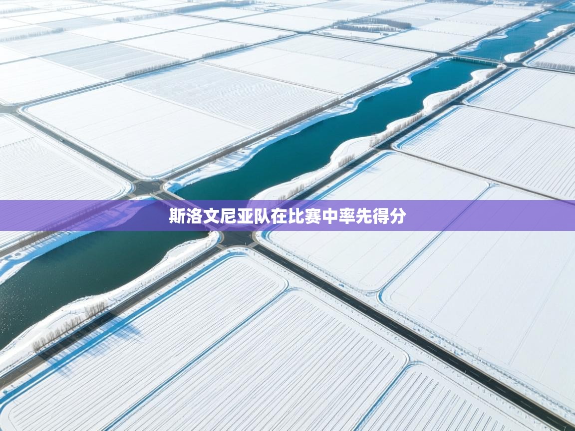 斯洛文尼亚队在比赛中率先得分 第2张